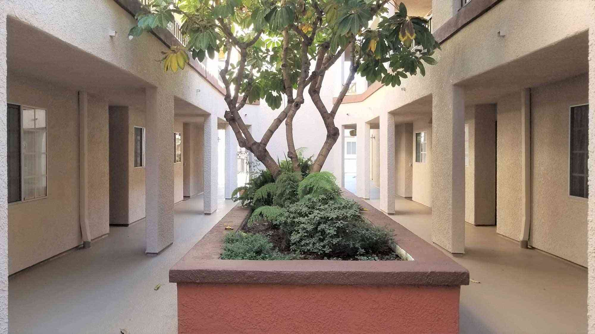 landscaped inner courtyard tree