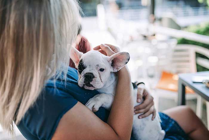 Emerson Townhomes apartments pet policy